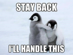 The pengu army (MICRO)