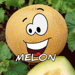 super melon army