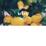 Lemon clothing group