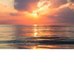 sunset squad fan group