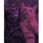 Iloveu<3