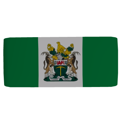 UDI Flag Armband (Light Green) [Right]