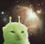 oks cat