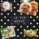 Le Pup Group