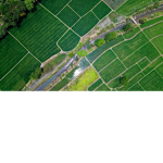 economically underdeveloped areas
