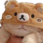 kittysoul