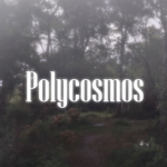 Polycosmos