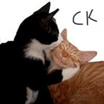 catkiss