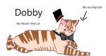 Cult of Dobby