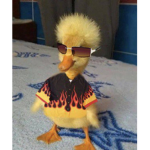 Ducky Gamer Gang