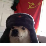 Cacut
