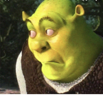Shrek group 247
