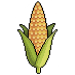 It’s Corn Official Group