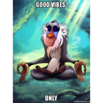 Good vibe'z