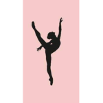 Delight in dance company