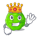 Lime#Army