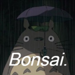 Bonsai.