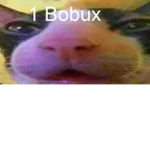 dar robux para meus amigui