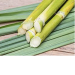 Sugarcane games