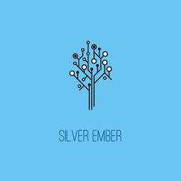 Silver's Clothing Stores