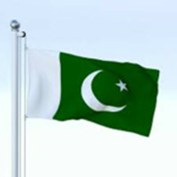 pakistan army game with not deatail