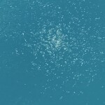 Prison Clearance Application Center