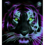 PurpleSpiderCat Studios