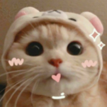 Kawaii kitten
