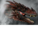 Fc dragon club