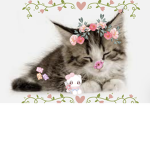 ( * ~ ~ Kitties And Friends ~ ~ * )