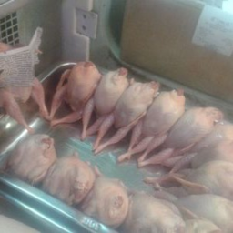 Tower of Possessed Chicken Destroyer icon