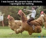 Chicken Bois & Gois Gang
