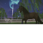 ʙʀɪɢʜᴛ ꜰᴇɪʟᴅ ꜱᴛᴀʙʟᴇꜱ