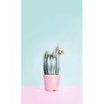 Marshmallow team wild