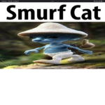 Smurf cat fans 2.0