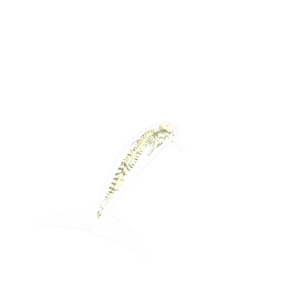 The mimic Book 2 chapter 2 Bake Kujira (Not hack)