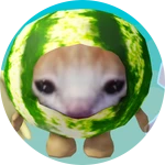 Watermellon Cat Morph!