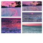 Aesthetic flowers and oceans