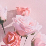 ●・○・●・○・●