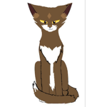 {OwlClan}