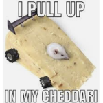 •cheese•