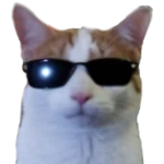 Vestioy