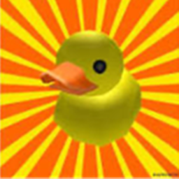 Duck Obby !