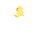 duck ducks united