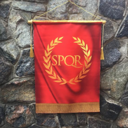 🚩𝗡𝗘𝗪 Roman Senhus Capitol !