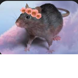 🌸