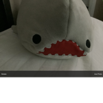 Sharky is the best_vote Sharky