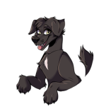 Pet The Dog Studios