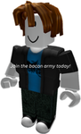 RIC(Roblox intelligence agency