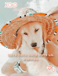 CUTE cute CUTE cute LITTLE…………PUPPIES!